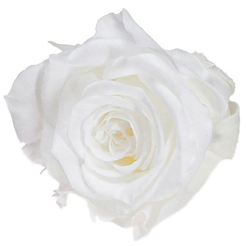 Floristik24 Infinity Roses Véritables Têtes de Roses Mini Roses Blanches Ø3cm 16 pcs