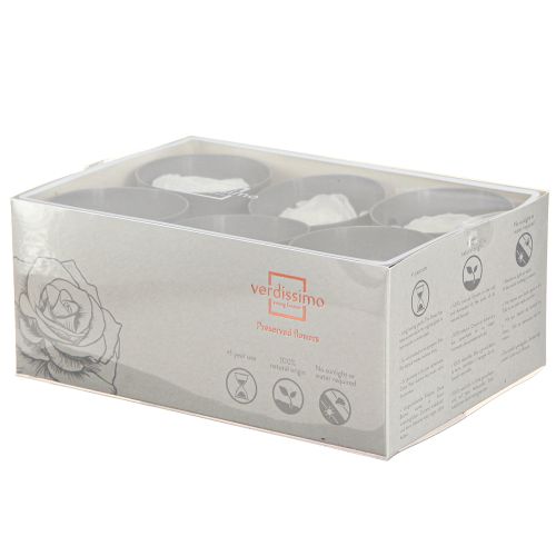Floristik24 Infinity Roses Véritables Têtes de Roses Conservées Blanches Ø6cm 6 pcs