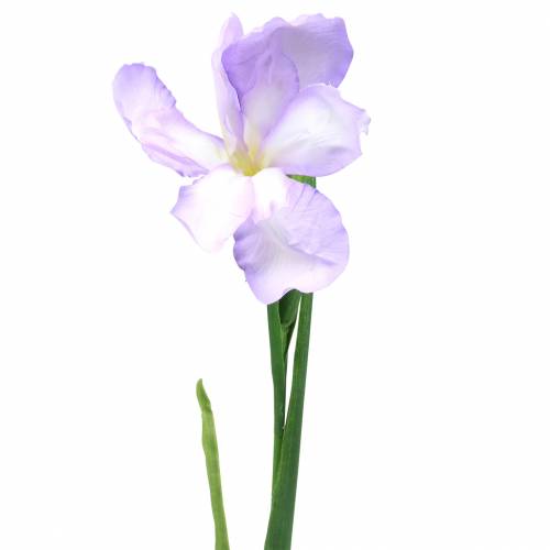 Floristik24 Iris artificiel violet 78cm