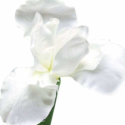 Floristik24 Iris artificiel Blanc 78cm