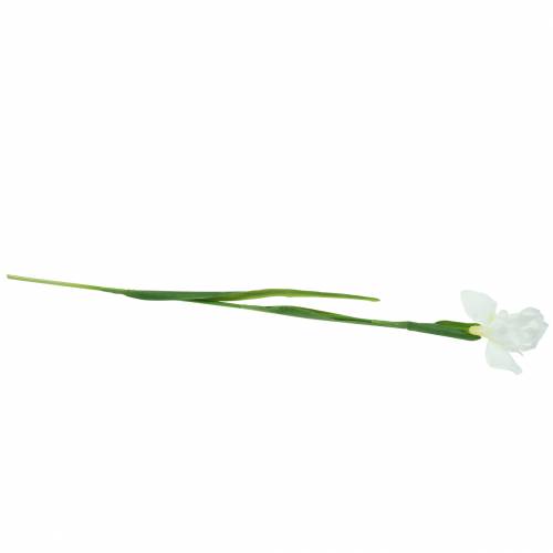 Floristik24 Iris artificiel Blanc 78cm