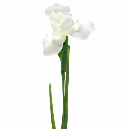 Floristik24 Iris artificiel Blanc 78cm