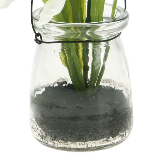 Floristik24 Iris White en verre pour suspendre H21,5cm