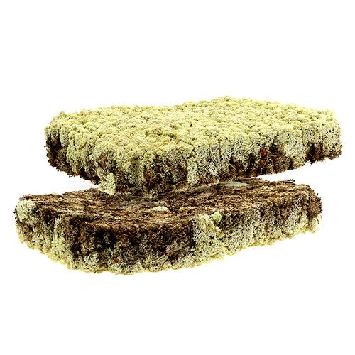 Floristik24 Mousse Mousse d&#39;Islande Finlande Extra Polaire 2 panneaux