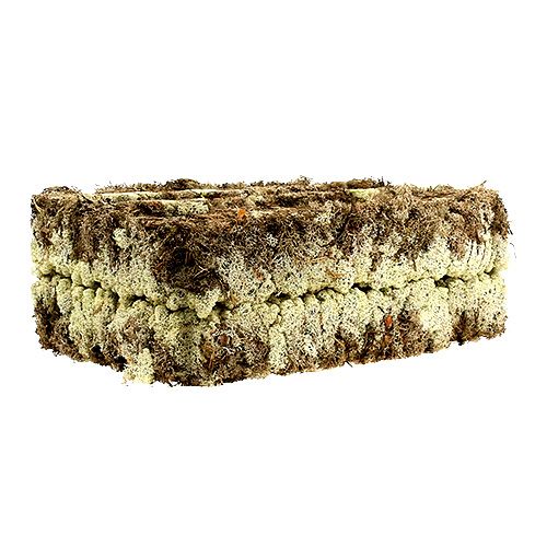 Article Mousse Mousse d'Islande Finlande Extra Polaire 2 panneaux