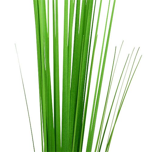 Article Isolepsisgrass vert clair 85cm 1p