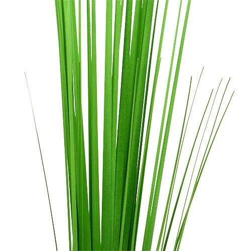 Floristik24 Isolepsisgrass vert clair 85cm 1p