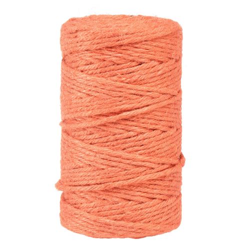 Floristik24 Ruban de jute cordon de jute ruban décoratif jute orange Ø4mm 100m