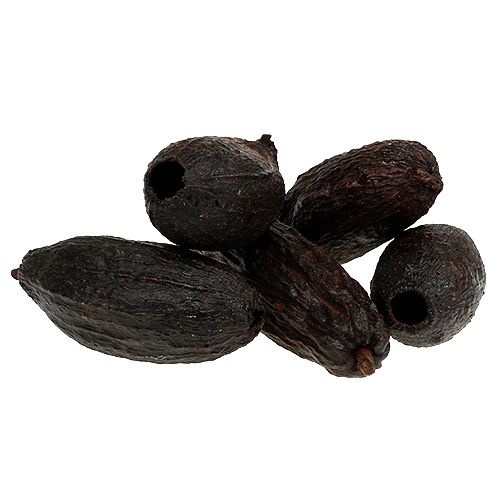 Floristik24 Fruit de cacao naturel 10-18cm 15 pcs