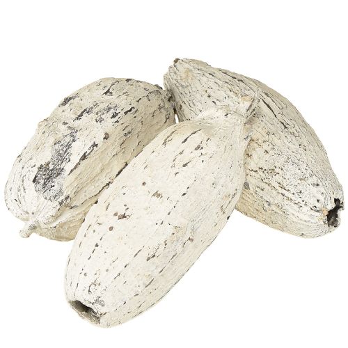 Article Cabosses de cacao blanchies à la chaux 15 pièces