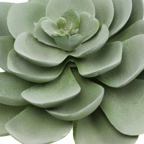 Floristik24 Déco succulentes artificielles plantes artificielles vertes 11×8.5cm 3pcs