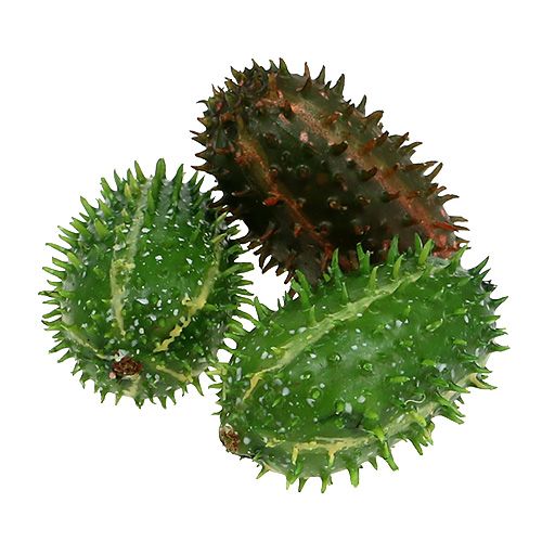 Floristik24 Figue de Barbarie 5cm brun vert 6pcs