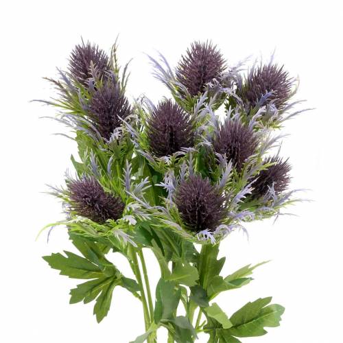 Floristik24 Branche de chardon artificielle bleu-violet 68cm 3pcs