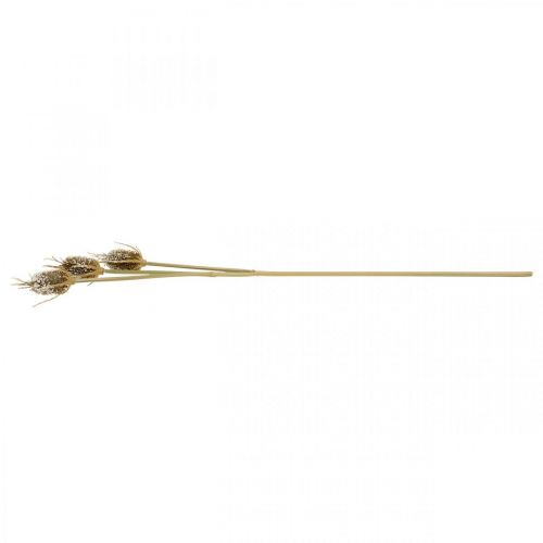 Article Branche de chardon chardon cartonné marron glacé à 3 têtes 90cm