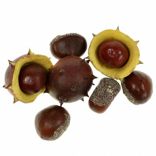 Floristik24 Assortiment de châtaignes décoratives 5,5 cm 24 pcs