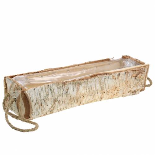Floristik24 Boite bouleau avec anses corde 47x16cm H10cm