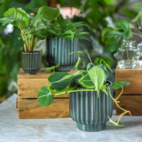Floristik24 Cache-pot en céramique, décoration florale, cache-pot ondulé vert, marron Ø15.5cm H16.5cm