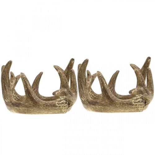 Floristik24 Photophore bougeoir bois de cerf doré H7cm Ø10cm 2pcs