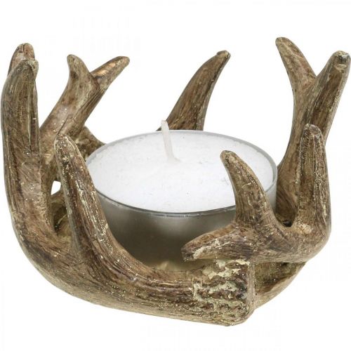 Floristik24 Photophore bougeoir bois de cerf doré H7cm Ø10cm 2pcs