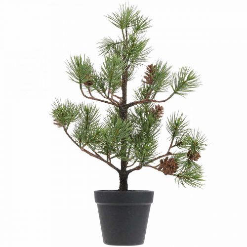 Floristik24 Sapin de Noël artificiel en pot avec cônes 52cm