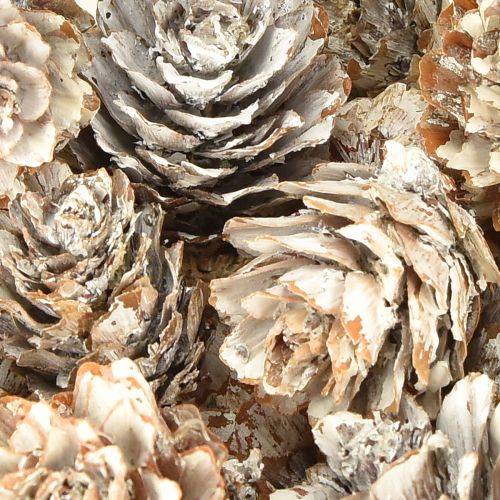 Article Pommes de pin blanchies dans un filet 2,5-3,5 cm 500 g