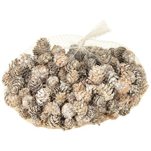 Article Pommes de pin blanchies dans un filet 2,5-3,5 cm 500 g