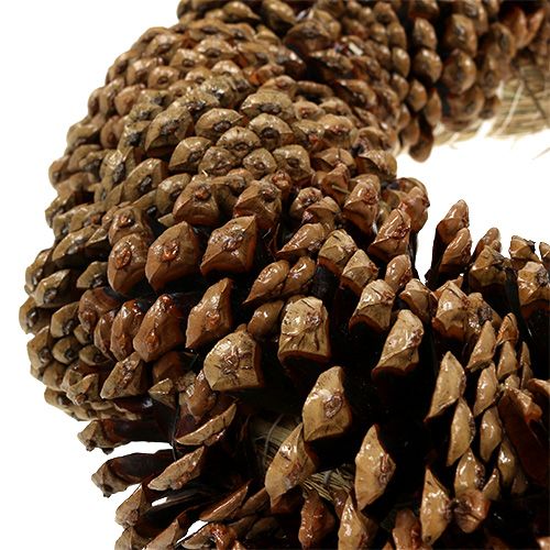 Floristik24 Couronne de pommes de pin ronde Ø27cm