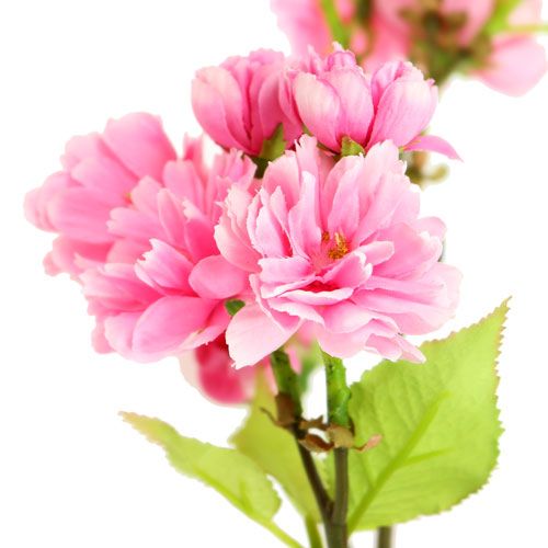 Floristik24 Branche de fleur de cerisier rose 100cm