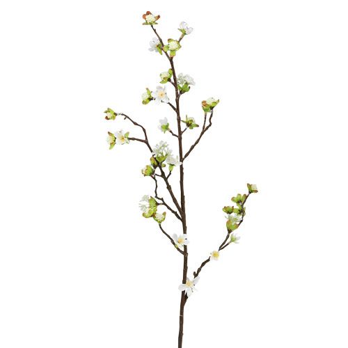 Floristik24 Branche de fleurs de cerisier blanc 95cm