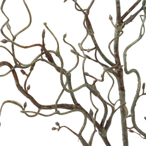 Floristik24 Branche de saule artificielle avec bourgeons ressort marron L76cm