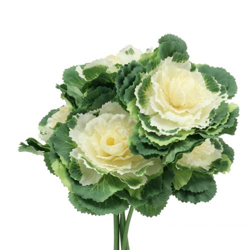 Floristik24 Chou artificiel blanc, vert 25cm 6pcs