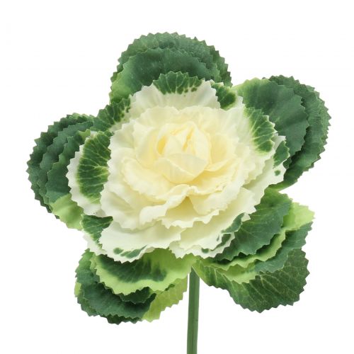 Floristik24 Chou artificiel blanc, vert 25cm 6pcs