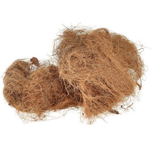 Fibre de coco fibre végétale naturelle fibre naturelle matériel artisanal 1kg