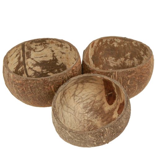 Floristik24 Bol en noix de coco bol en noix de coco décoratif naturel coupé en deux 10cm 6 pcs