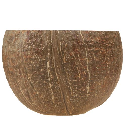 Floristik24 Bol en noix de coco bol en noix de coco décoratif naturel coupé en deux 10cm 6 pcs