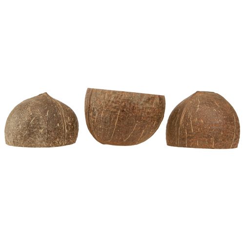 Article Bol en noix de coco bol en noix de coco décoratif naturel coupé en deux 10cm 6 pcs