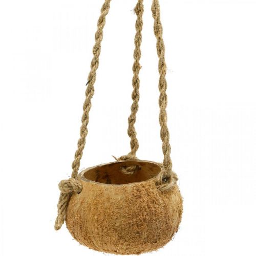 Floristik24 Bol suspendu coco, bol végétal naturel, panier suspendu Ø8cm L55cm