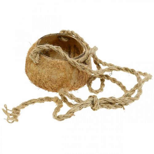 Article Bol suspendu coco, bol végétal naturel, panier suspendu Ø8cm L55cm