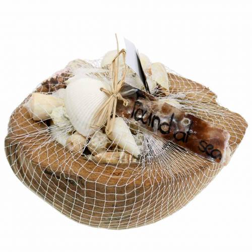 Floristik24 Déco Mer du Sud noix de coco aux moules 20cm 250g