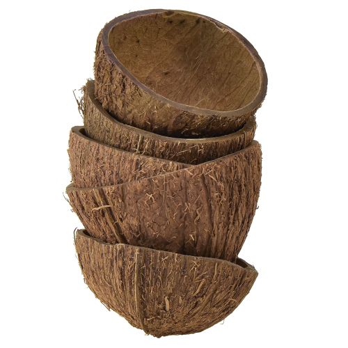 Floristik24 Décoration bol en noix de coco demi-noix de coco naturelles Ø7-9cm 5pcs