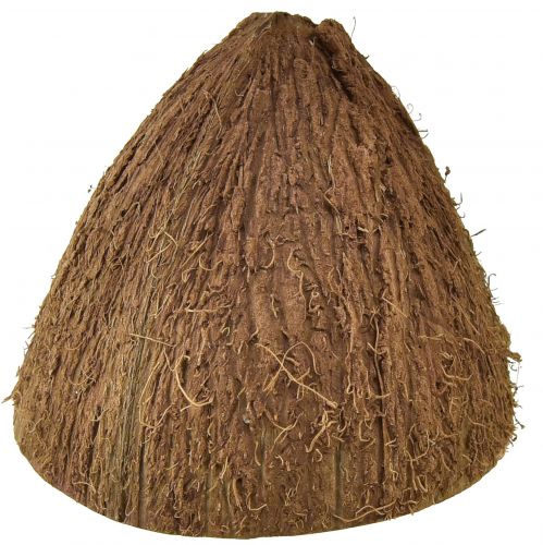 Article Décoration bol en noix de coco demi-noix de coco naturelles Ø7-9cm 5pcs