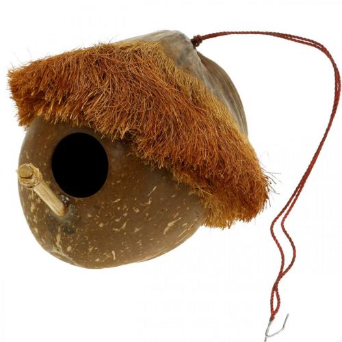 Floristik24 Noix de coco comme nichoir, nichoir à accrocher, décoration noix de coco Ø16cm L46cm