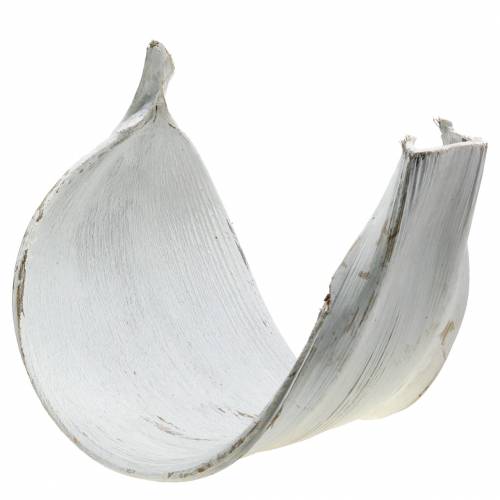 Floristik24 Bol en noix de coco feuille de coco blanchie décoration naturelle 35cm