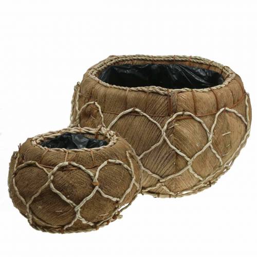 Floristik24 Jardinière coco naturel Ø37 / 24cm, lot de 2