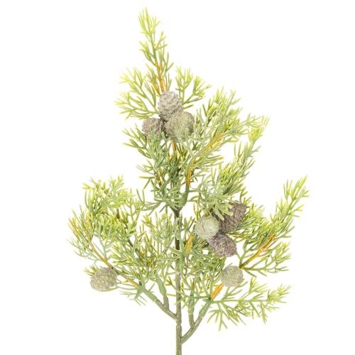 Branche de conifère artificielle avec cônes, 39 cm, lot de 4. acheter | Floristik24.be