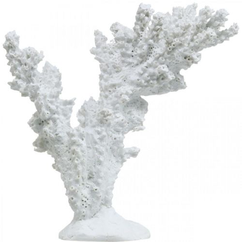 Floristik24 Décoration maritime corail blanc décoration artificielle stand 11×12cm