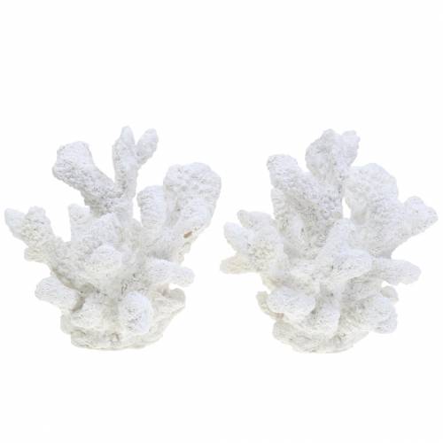 Coral plâtre blanc H11cm 2pcs