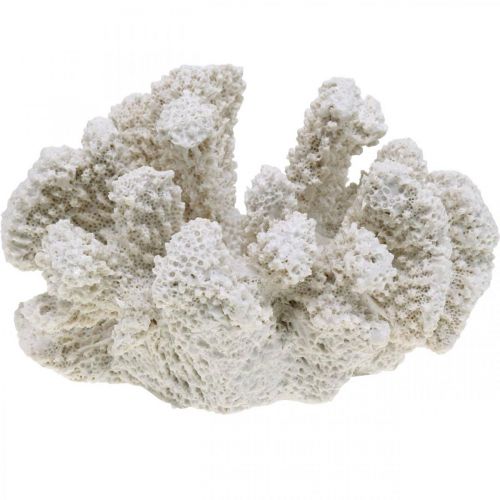 Floristik24 Décoration maritime corail blanc polyrésine artificielle petit 13.5x12 cm