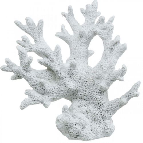 Floristik24 Décoration maritime blanc corail décoration d'été 14.5×14.5cm
