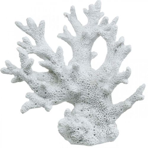 Floristik24 Décoration maritime blanc corail décoration d&#39;été 14.5×14.5cm